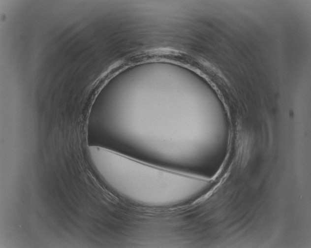 X0000081441305200701120934
