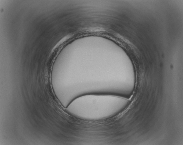 X0000081441306200701120934
