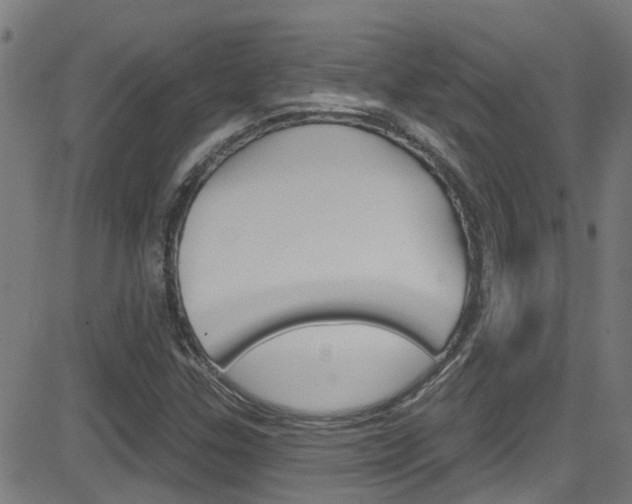X0000081441307200701120934