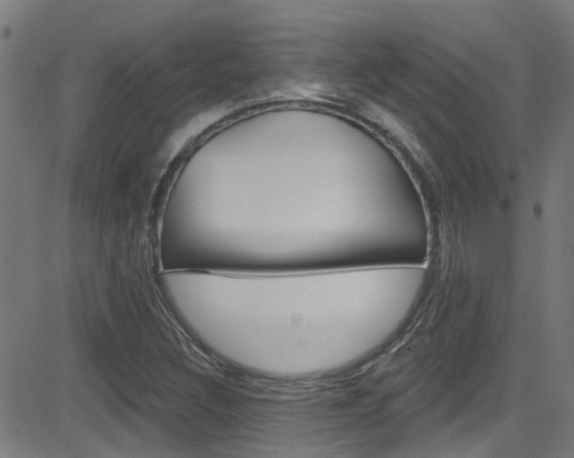 X0000081441308200701120934