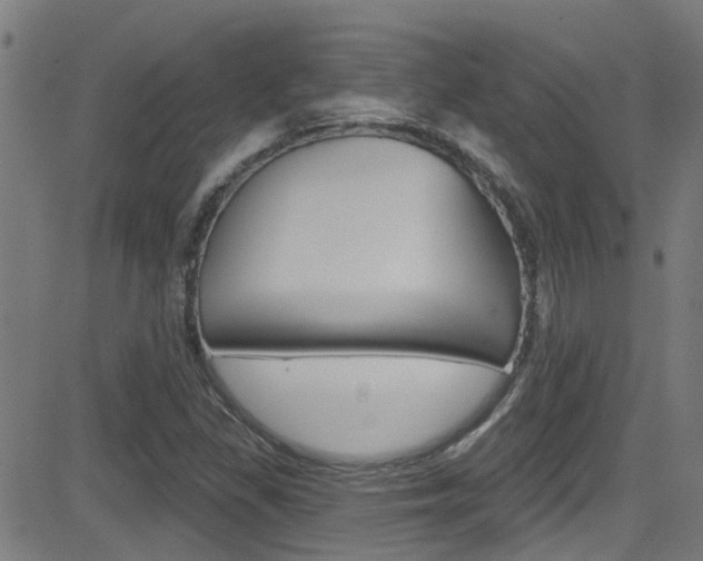 X0000081441309200701120934