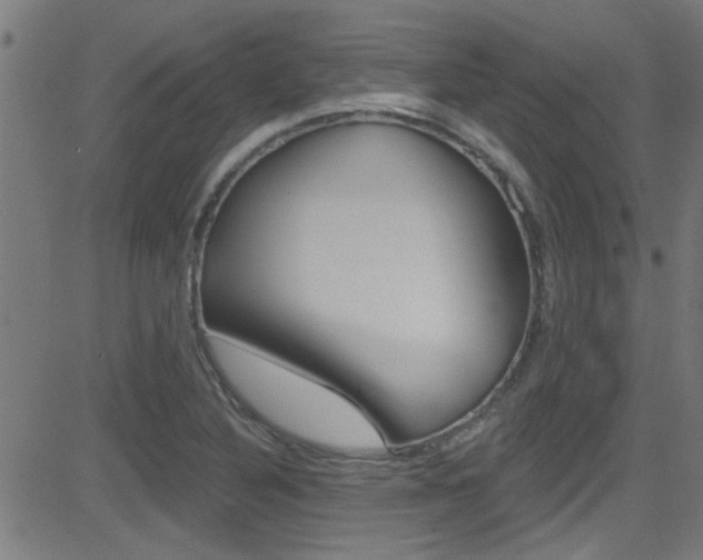 X0000081441316200701120934