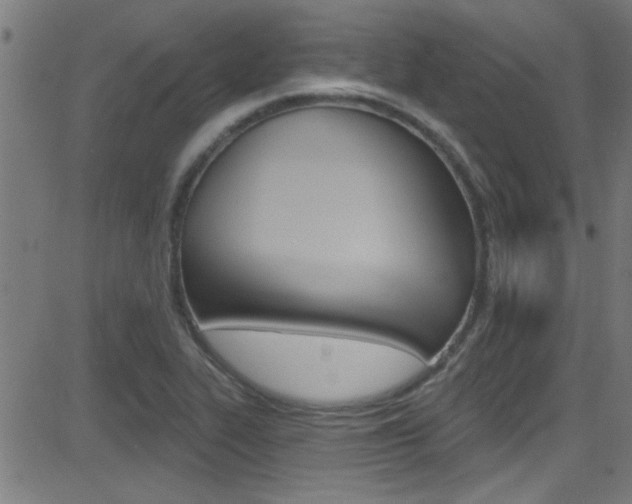 X0000081441319200701120934