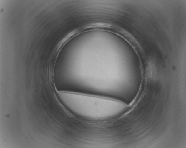 X0000081441321200701120934