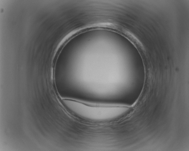 X0000081441324200701120935