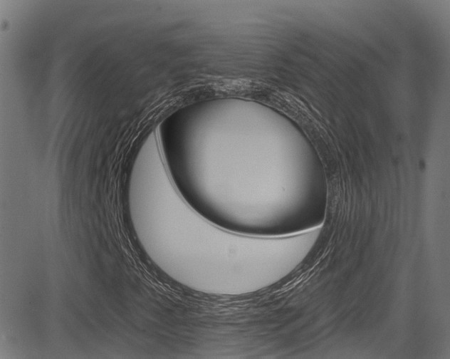 X0000081441345200701120934
