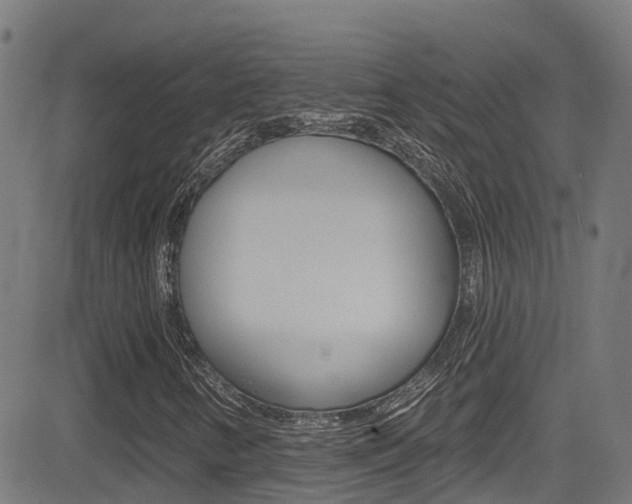 X0000081441346200701120934