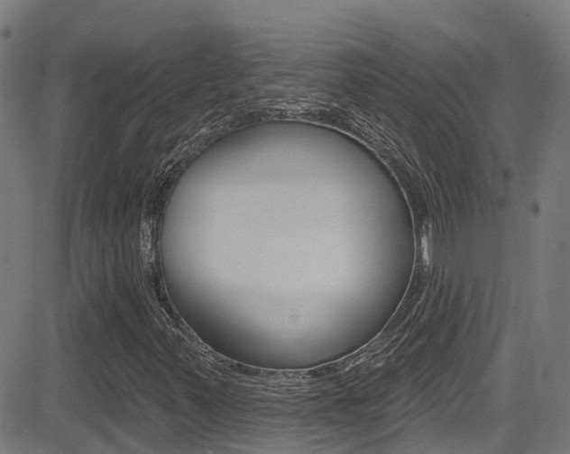 X0000081441347200701120934