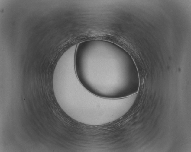 X0000081441348200701120934