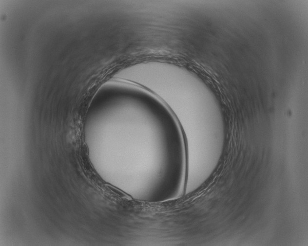 X0000081441349200701120934