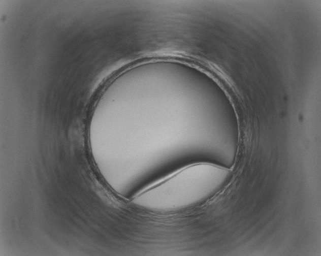 X0000081441356200701120934