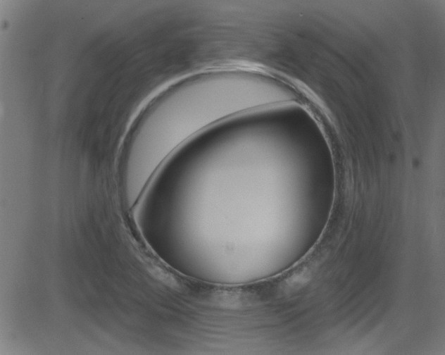 X0000081441364200701120934