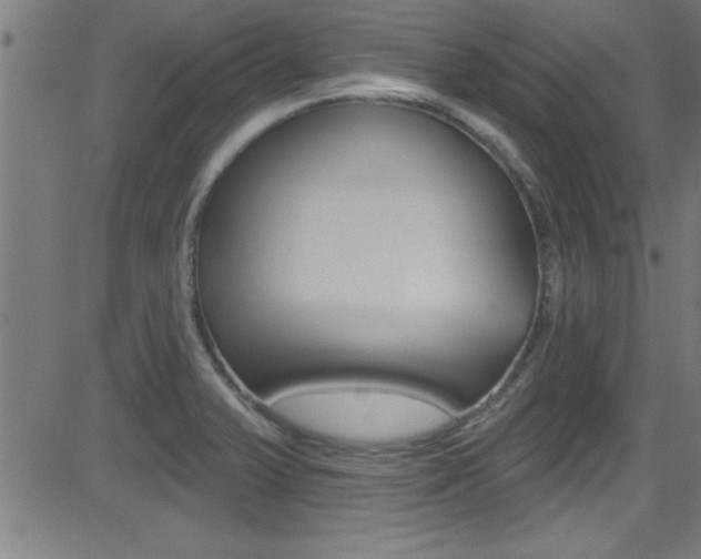 X0000081441375200701120934