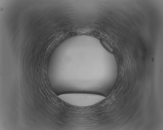 X0000081441393200701120932