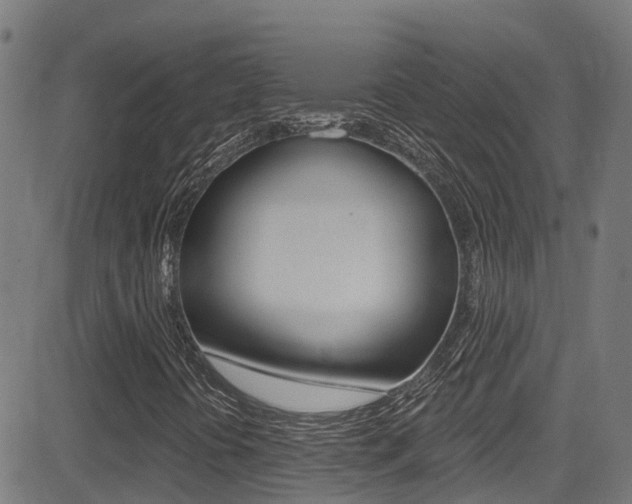 X0000081441394200701120932