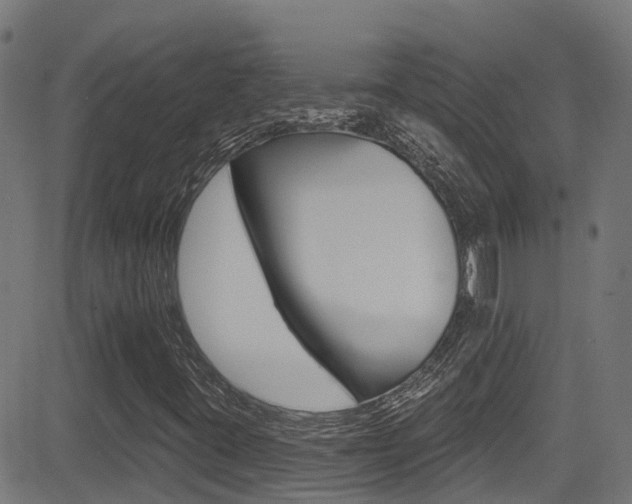 X0000081441395200701120933