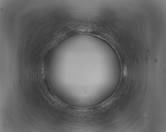X0000081441396200701120933