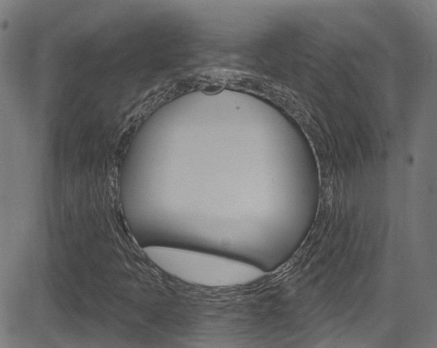 X0000081441397200701120933