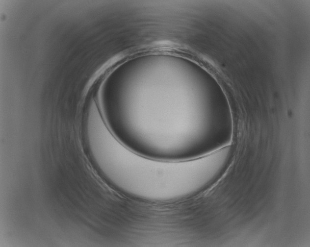 X0000081441410200701120933