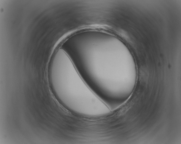 X0000081441412200701120933