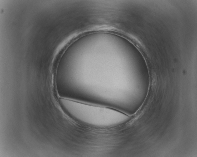 X0000081441414200701120933