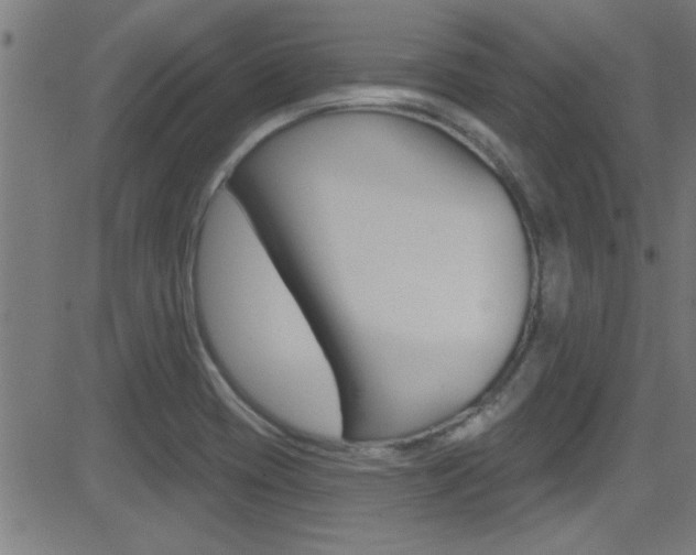 X0000081441417200701120933