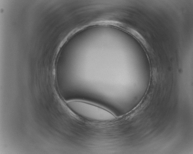 X0000081441428200701120933