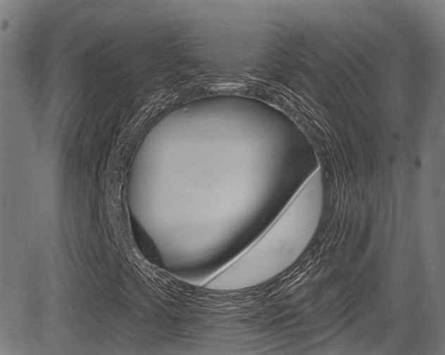 X0000081441441200701120932