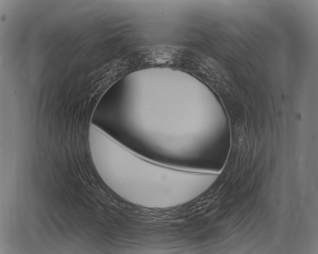 X0000081441442200701120932