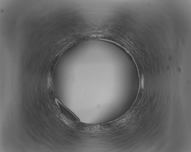 X0000081441444200701120932