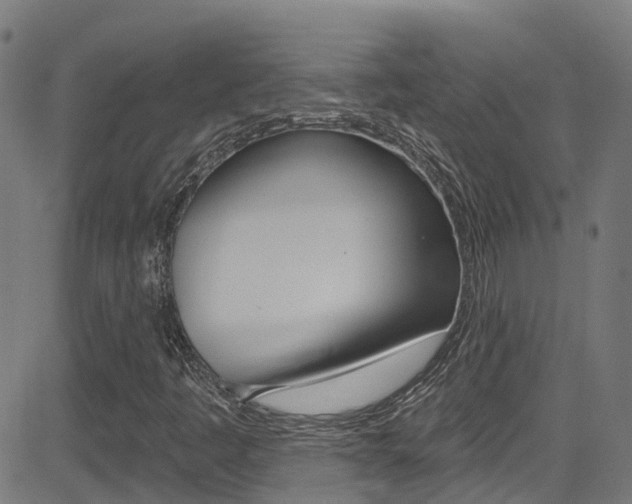 X0000081441445200701120932