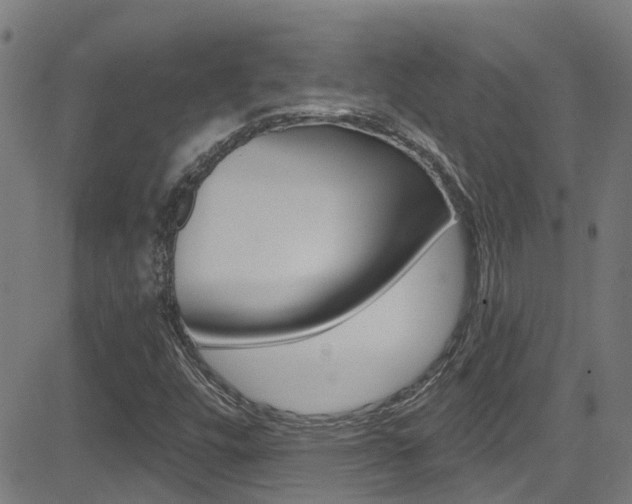 X0000081441448200701120932