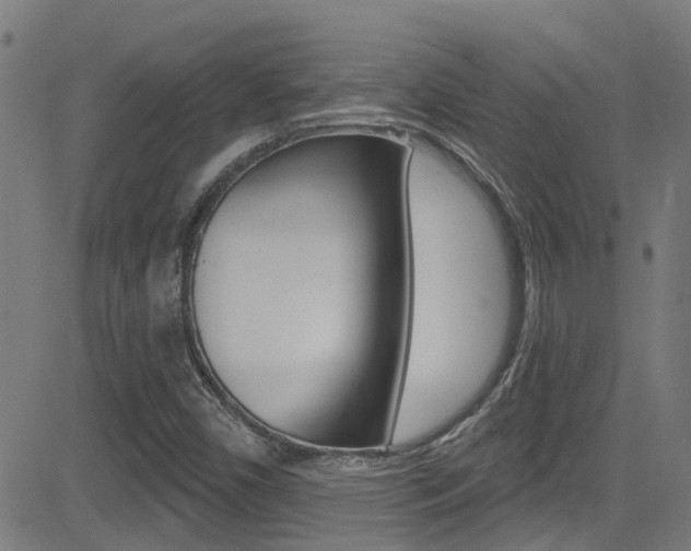 X0000081441450200701120932