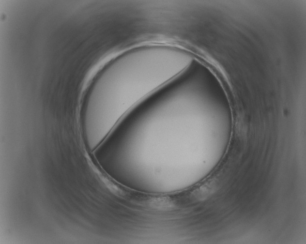 X0000081441464200701120932