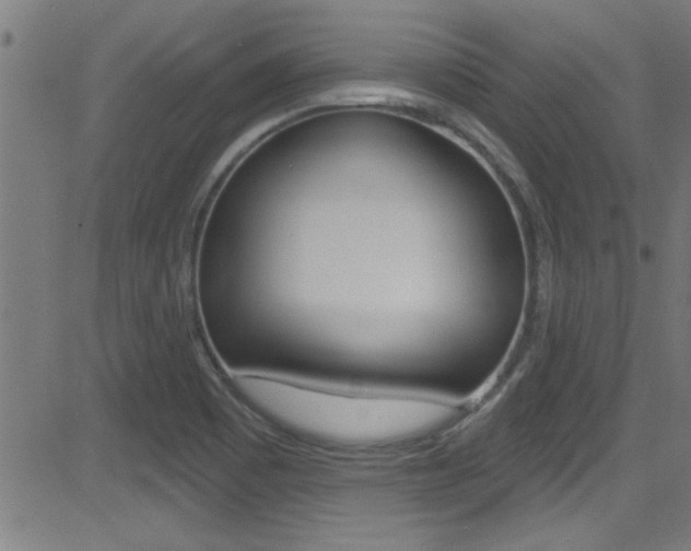 X0000081441465200701120932