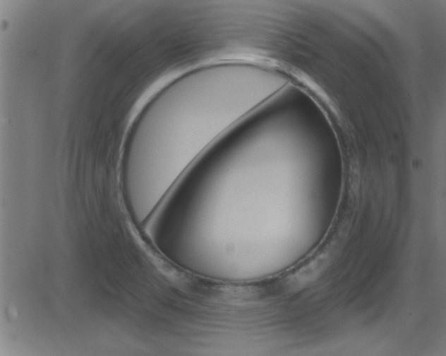 X0000081441469200701120932
