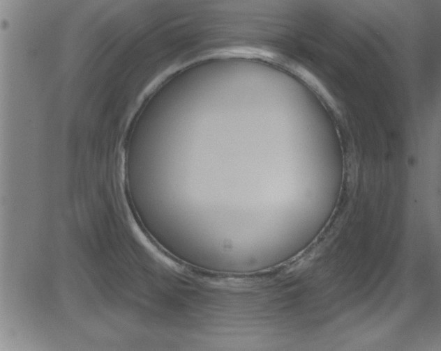 X0000081441476200701120932