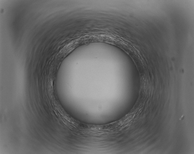X0000081441489200701120931