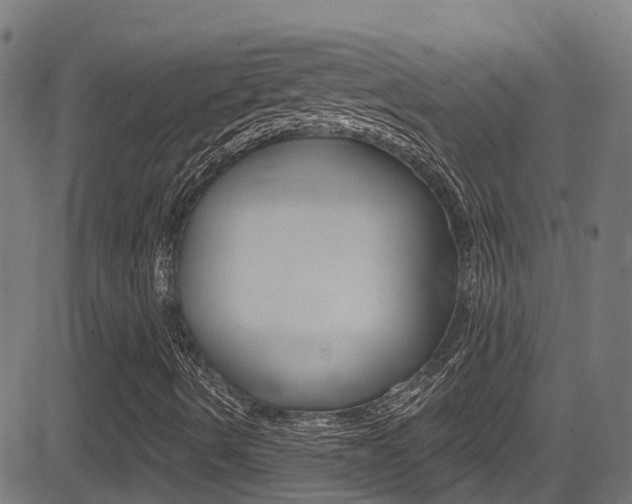 X0000081441490200701120931