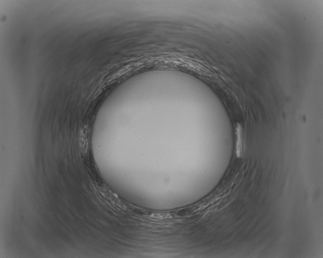 X0000081441491200701120931