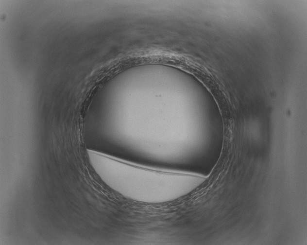 X0000081441493200701120931