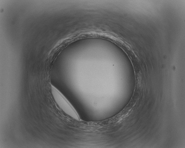 X0000081441494200701120931