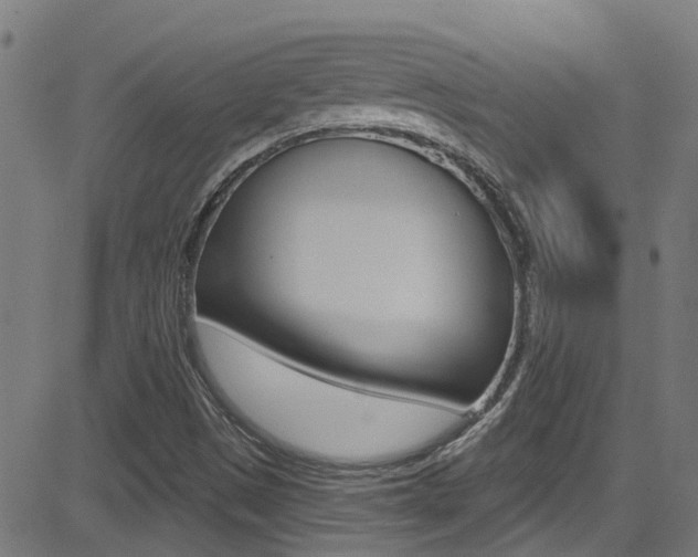 X0000081441497200701120931