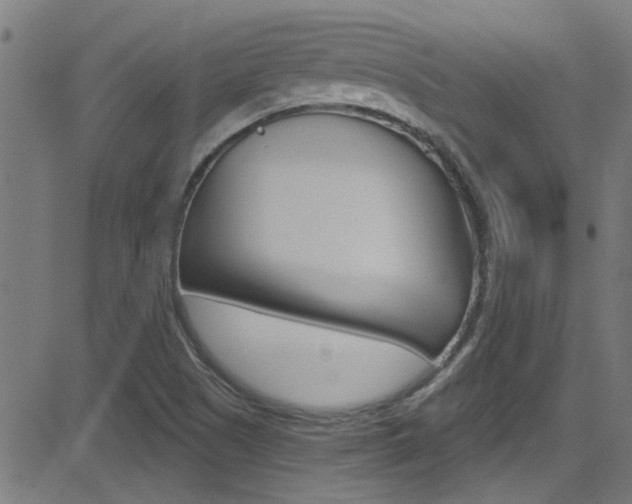 X0000081441505200701120931