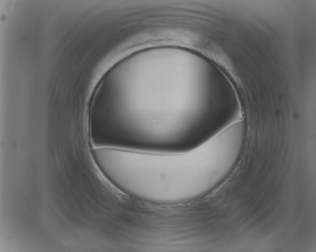 X0000081441516200701120931
