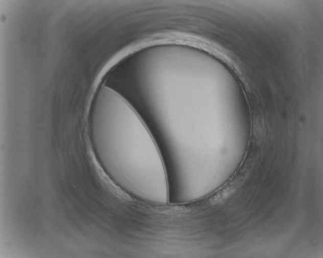 X0000081441522200701120931