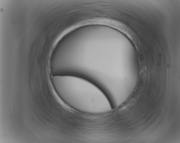 X0000081441523200701120931