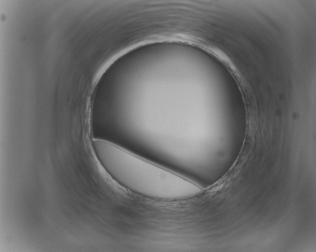 X0000081441524200701120931