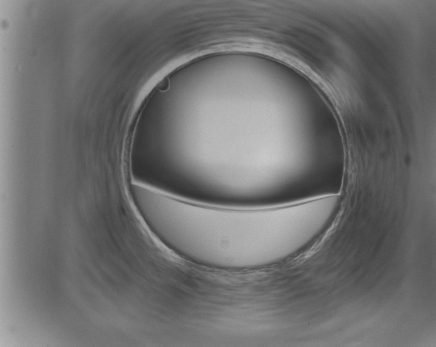 X0000081441533200701120932
