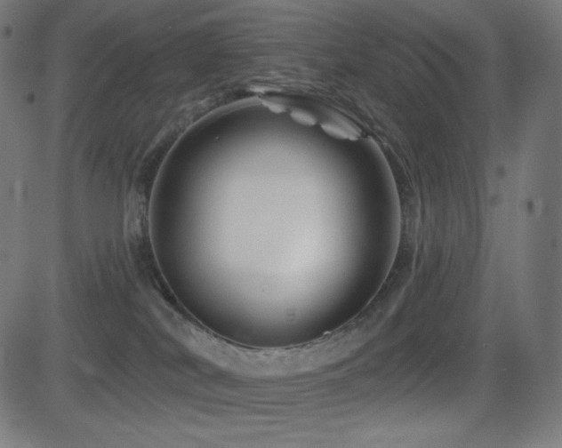 X0000081440038200701121217